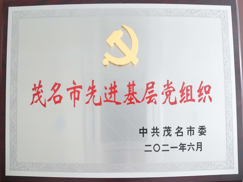 中共茂名市委關(guān)于表彰茂名市優(yōu)秀共產(chǎn)黨員、茂名市優(yōu)秀黨務(wù)工作者和茂名市先進(jìn)基層黨組織的決定（2021年6月） (2).jpg